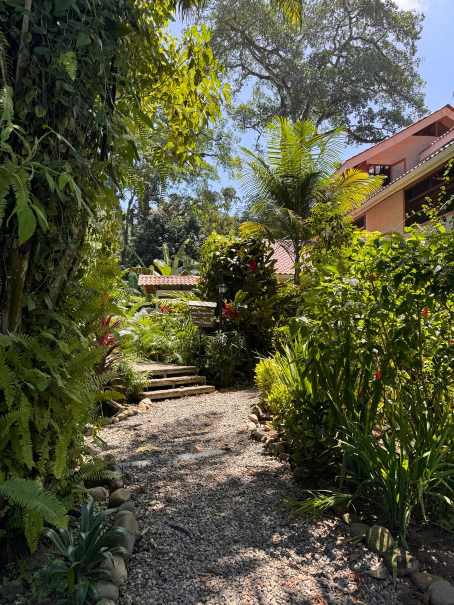 Chilamate Holiday House Puerto Viejo de Talamanca Exterior photo
